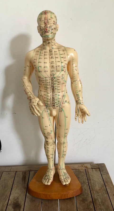 ACUPUNCTURE DUMMY