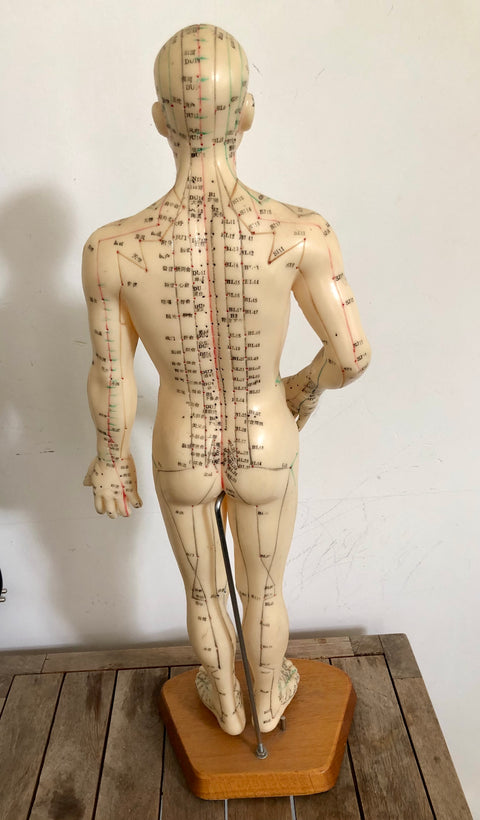 ACUPUNCTURE DUMMY