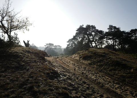 PICTURE MADE OF A MYSTICAL TRAIL IN THE MIDDLE OF NATIONAL PARK DE HOGE VELUWE. THE DESIGNER OF SCHOOLOFLIFEPROJECTS LIVES ON THE DOORSTEP OF THE NATIONAL VELUWE. IT IS A BIG INSPIRATION FOR THE WOOL COLLECTION PRODUCED IN ANOTHER NATIONAL PARK; SERRA DA ESTRELA IN THE HEART OF PORTUGAL. 